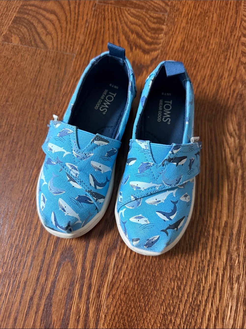 Toms toddler Blue Shark Canvas Velcro shoes size 9